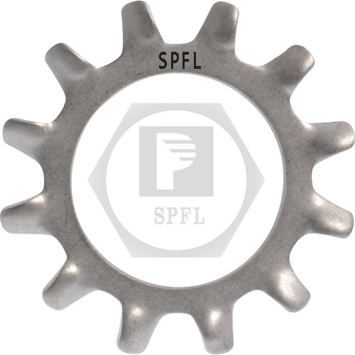 Star Washer reference product photo