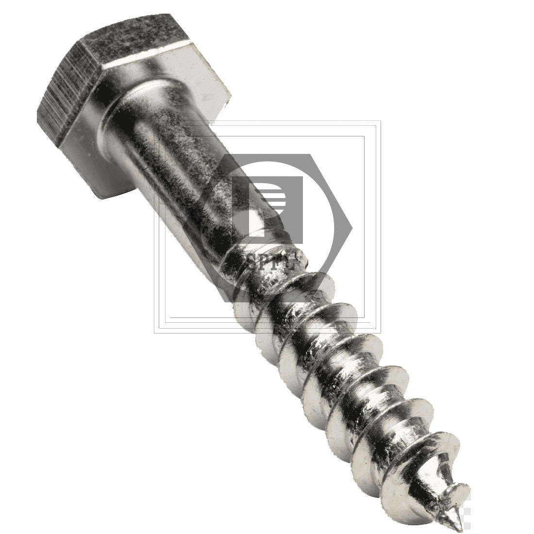 SPFL Coach Bolt / Lag Screw