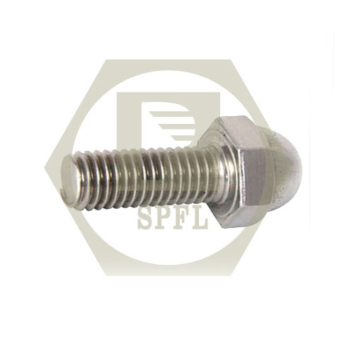 SPFL Dome Bolt